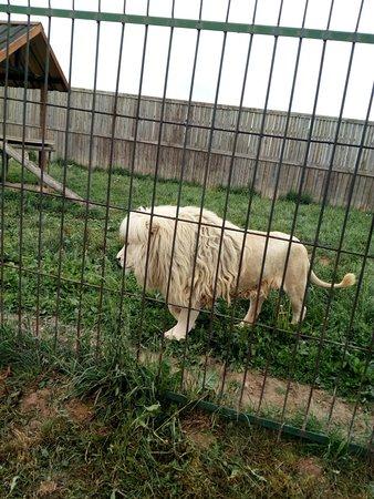 Zoo Wojciechów
