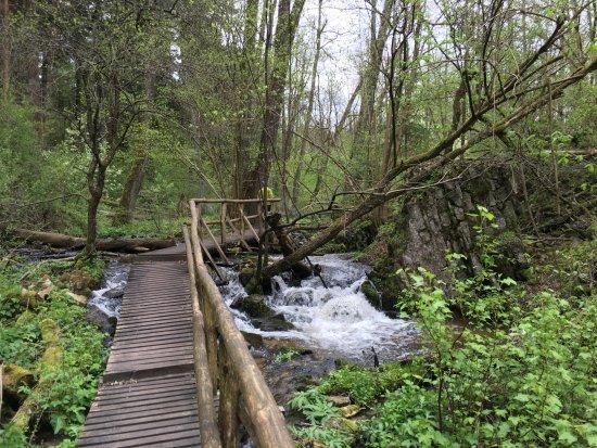Czartowe Pole Nature Reserve